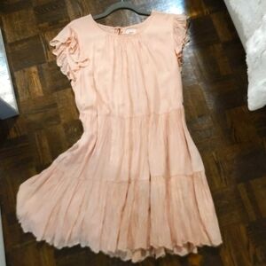Wilfred Aritzia Ruffle Sleeve Light Pink Blush dress size M